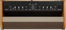 FENDER ACOUSTIC 100, ACOUSTIC GUITAR AMPLIFIER