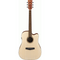 IBANEZ PF10CE OPN AC. ACOUSTIC GUITAR WITH PICK UP