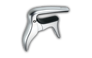 IBANEZ CAPO IGC10