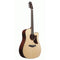 IBANEZ AAD170CE LGS ADVANCED ACOUSTIC