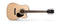 CORT ACOUSTIC CUTAWAY W'PICKUP AD880CE. Natural Satin