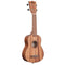 Kala Teak Tenor Ukulele. Inc Bag