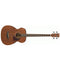 Ibanez PCBE12MH Acoustic Bass