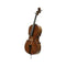 STENTOR STUDENT 1 - 1/8 CELLO OUTFIT