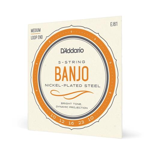 D'ADDARIO 5 STRING BANJO - LOOP END