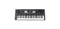 BEALE AK280 61 NOTE TOUCH RESPONSE KEYBOARD.