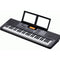 Beale AK160 61Note Keyboard + Headphones